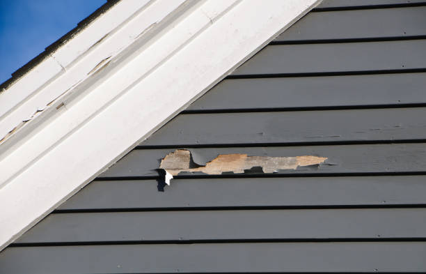 Best Vinyl Siding Installation  in New Baltimore, MI